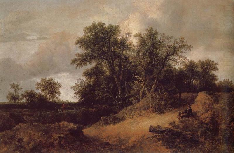 Dune Landfscape, Jacob van Ruisdael